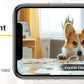 BoyKeep 3MP WiFi Security Camera - 5G/2.4GHz, Automatic Tracking