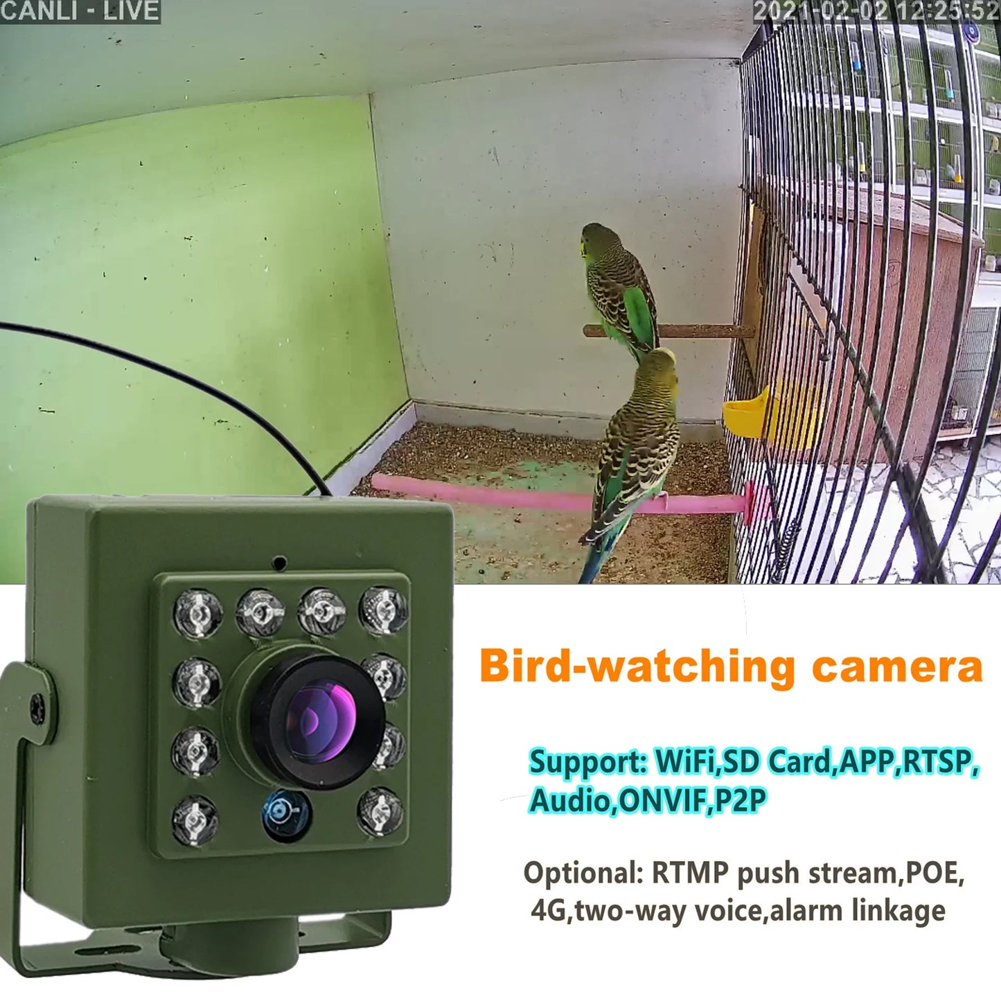 Green WiFi Bird Box Camera - 1920P/1080P, Audio, IR Night Vision, 2.8mm Lens