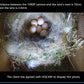 Green WiFi Bird Box Camera - 1920P/1080P, Audio, IR Night Vision, 2.8mm Lens