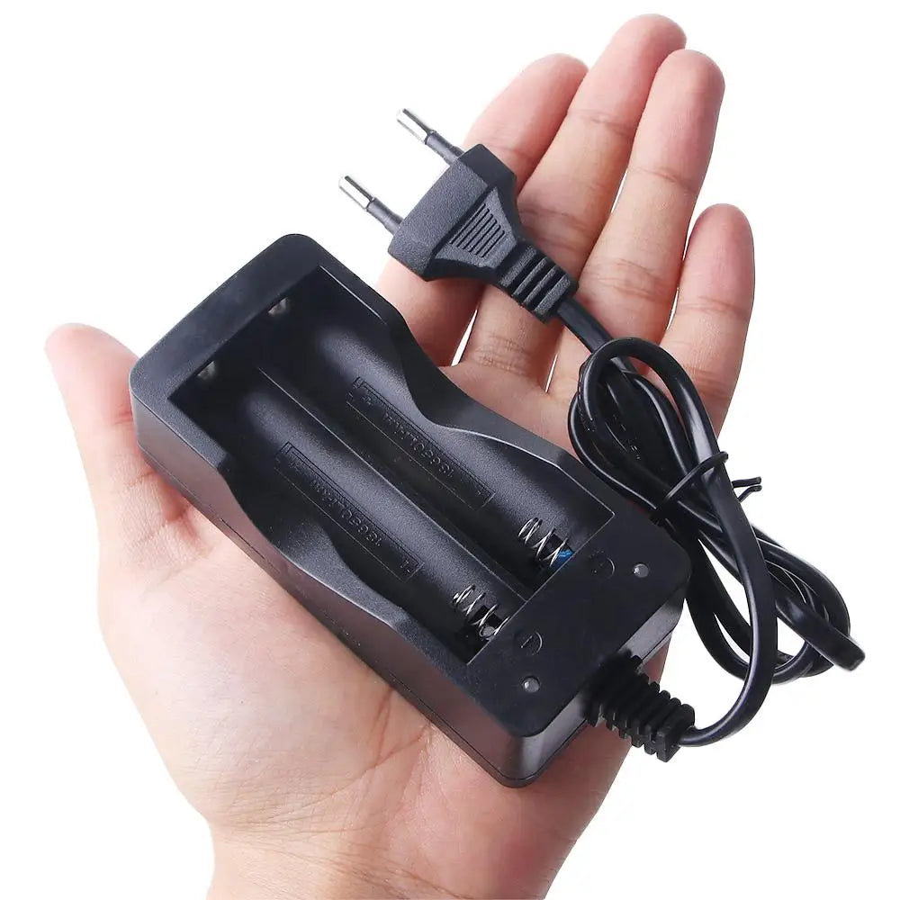 Charger Charge Dock Li-ion Rechargeable Smart Charger Battery Charger Lithium Battery Charger Charger Adapter Auto Stop Charger