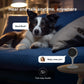 BoyKeep Indoor IP Camera - 3MP, Dual-Band WiFi, Smart CCTV, Pet Monitor