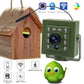 Green WiFi Bird Box Camera - 1920P/1080P, Audio, IR Night Vision, 2.8mm Lens
